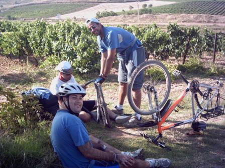 Un pinchazo en el camino